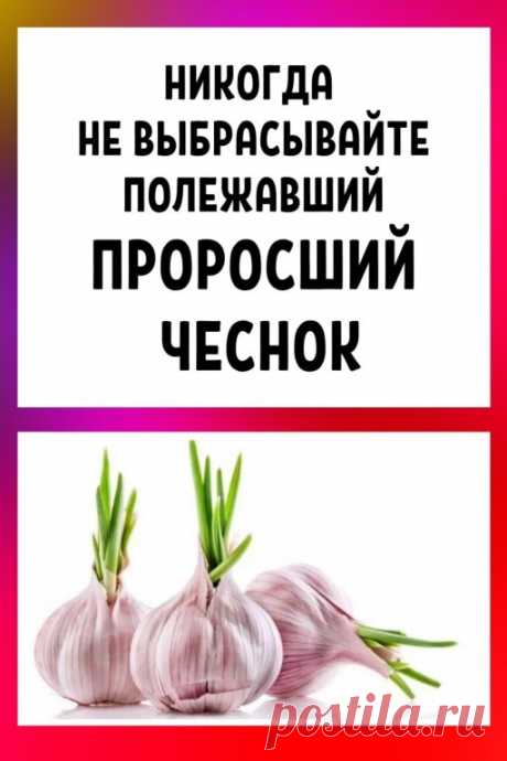 НИКОГДА НЕ ВЫБРАСЫВАЙТЕ ПОЛЕЖАВШИЙ... | Интересный контент в группе Интернет- Магазин Мода и Стиль!Женская одежда НИКОГДА НЕ ВЫБРАСЫВАЙТЕ ПОЛЕЖАВШИЙ ПРОРОСШИЙ ЧЕСНОК Чеснок, как и лук, ближе к весне пускает корешки и зеленые ростки. Многие выбрасывают полежавший... | Вступай в группу Интернет- Магазин Мода и Стиль!Женская одежда в Одноклассниках