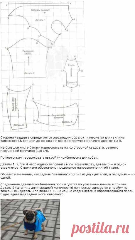 одежда | Записи в рубрике одежда | Дневник Елена_Леденева