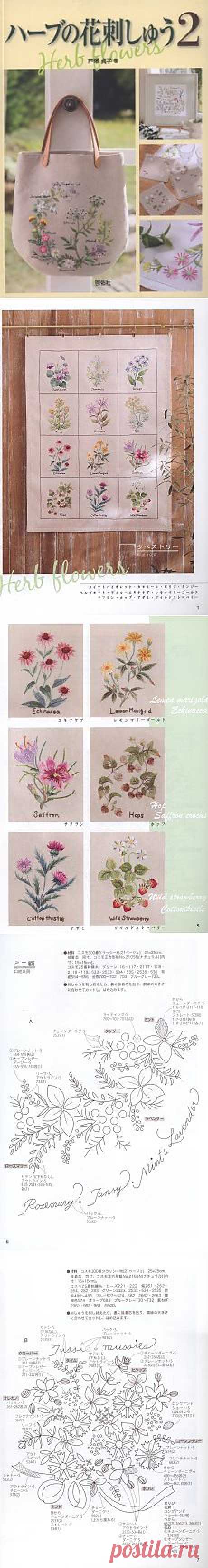 Herb Flowers 2.