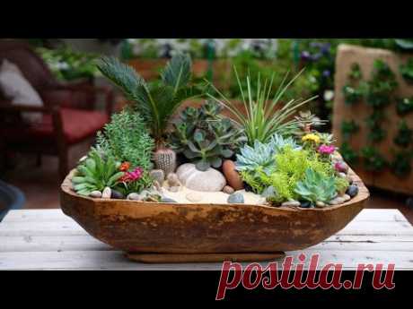 Antique Dough Bowl Turned Succulent Planter