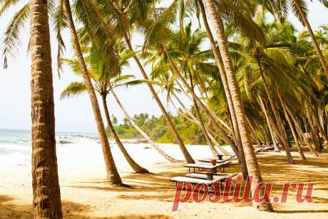Самые красивые острова: Шри-Ланка, Санторини, Мальдивы, Пхукет, Бали | CNTraveller