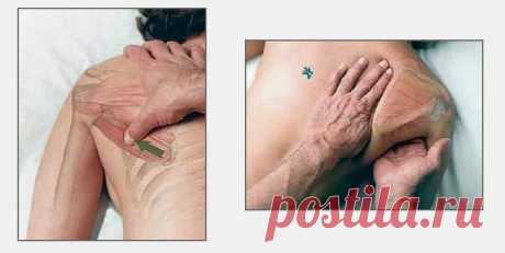 ​Как делать массаж: 7 картинок для понимания смысла движений рук — Полезные советы
