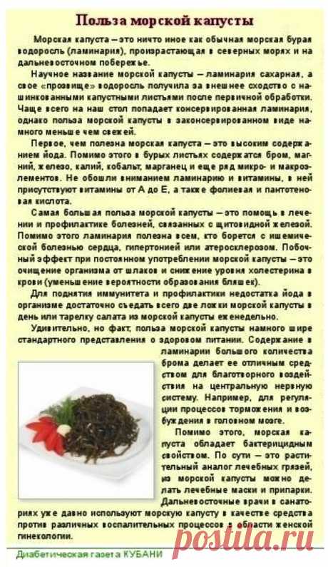 Польза морской капусты (ламинарии)