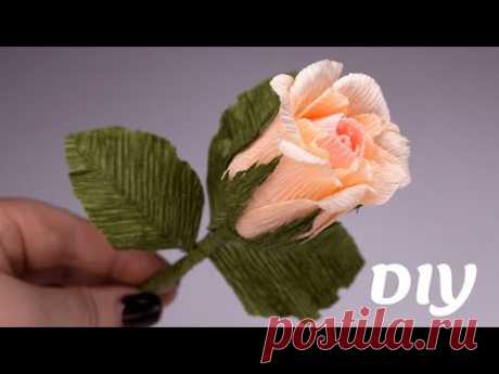 Голландская роза с гофробумаги / Цветы легко и просто / Crepe paper roses - YouTube

Сегодня покажу как сделать красивую голландскую розу из гофрированной бумаги. Розы получаются очень красивые и эффектные, такими розами можно украсить любой букет или композицию.