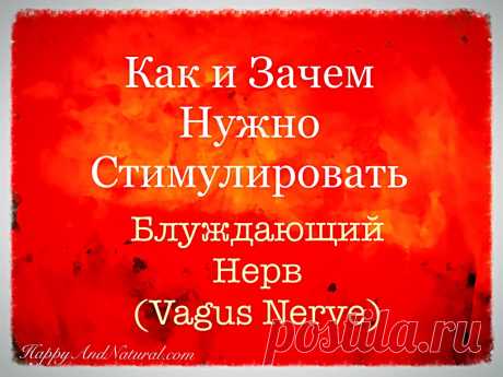 Как стимулировать Блуждающий Нерв (и зачем это нужно делать)? - Happy & Natural