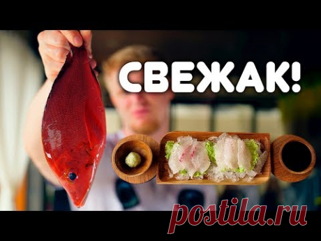 СВЕЖАЯ РЫБА? ЕШЬ СЫРОЙ! Крошим морского окуня...