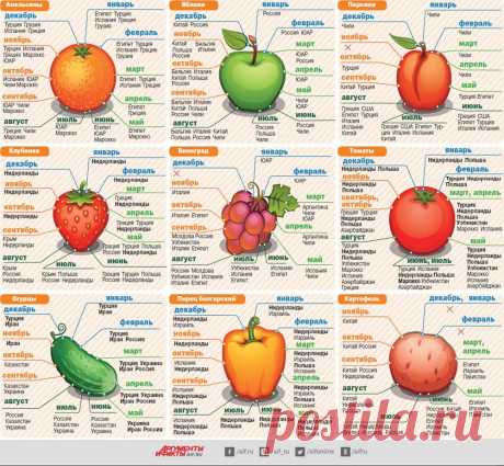 Когда созревают овощи и фрукты в разных странах? Инфографика | Инфографика | Аргументы и Факты