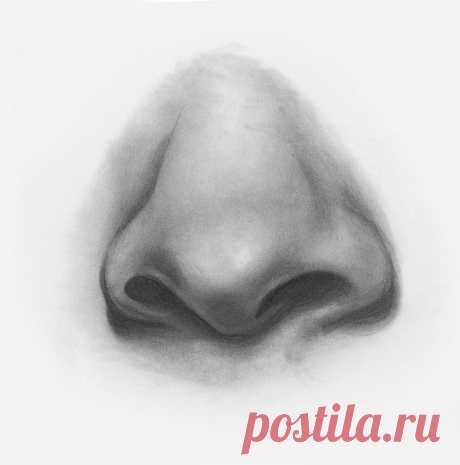 Как нарисовать нос поэтапно карандашом и красками (53 фото) - легкие мастер-классы по рисованию носа