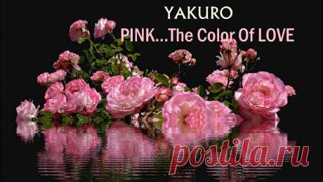 PINK... The Color Of LOVE - YAKURO #yakuro #pink #love @Andreea Petcu music: Yakuro - Pink...The Color Of Lovehttps://o2label.ru/authors/84video edit: Andreea Petcuhttps://www.youtube.com/Newoce...