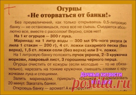 (2) Одноклассники