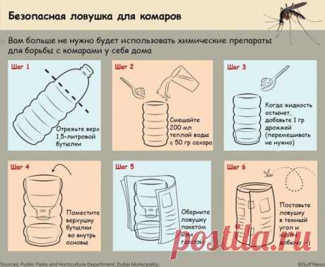 (+1) тема - Как самостоятельно сделать безвредную ловушку для комаров | СДЕЛАЙ САМ!