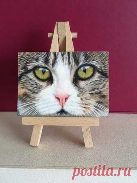 «I am a full time professional artist based in the U K .I specialise in realistic highly detailed animal and wildlife works of art using my preferred medium of choice pastel Here I have the first of a new range of Aceos. This is Tabby Cat Eyes. A beautiful tiny cat artwork featuring» — карточка пользователя slavashishaev в Яндекс.Коллекциях