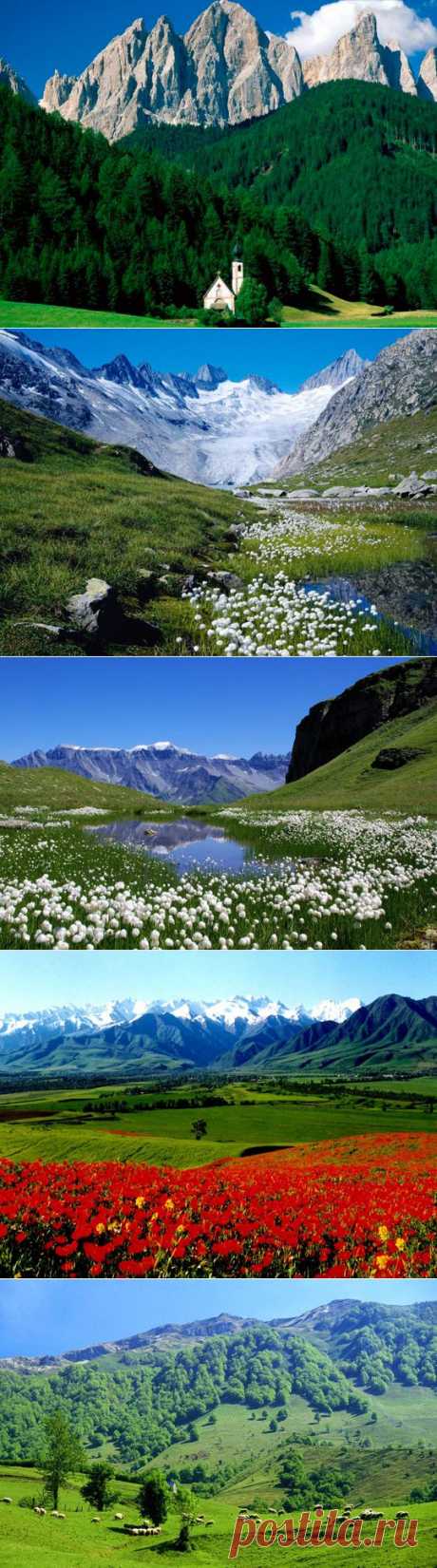 Альпы, альпийские луга (48 фото) картинки, видео