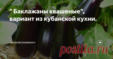 &quot; Баклажаны квашеные&quot;, вариант из кубанской кухни. Добрый день всем, кто заглянул на мой канал!
Я очень рада, что вы помните обо мне и не забываете! Спасибо Вам, что Вы заходите ко мне вновь и вновь! Спасибо всем, кто оценил мою работу!
Этот овощ, иногда,  называют заменителем мяса, а уж сколько разнообразных  блюд,  всевозможных салатов и закусок можно с ним приготовить! Да, это он, фиолетовый красавчик - баклажан.
Баклажаны появились в России в