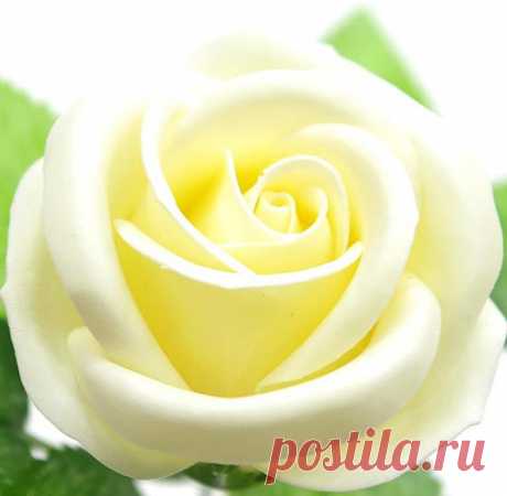 50 pcs SOAP bulk roses with beautiful scent!! wholesale flowers, flower soaps, artificial flowers, house decoration, rose soap, bathroom Before order, please read all the policy on our shop. Thank you. ------------------------------------------------------------------------------------ *Type of rose - SPECIAL*  *WHOLESALE / FREE SHIPPING!!*  [NEW ARRIVED!!!] These new arrival items, Special roses are bigger than Best roses and has alot more petals so the rose looks much mo...