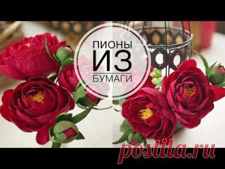 ПИОНЫ из  бумаги для цветочных композиций / PEONY from paper for flower arrangements / DIY TSVORIC