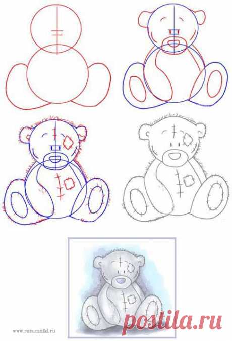 Как рисовать Мишку Тедди