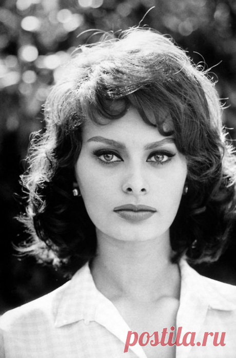 Sophia Loren | Sophia Loren