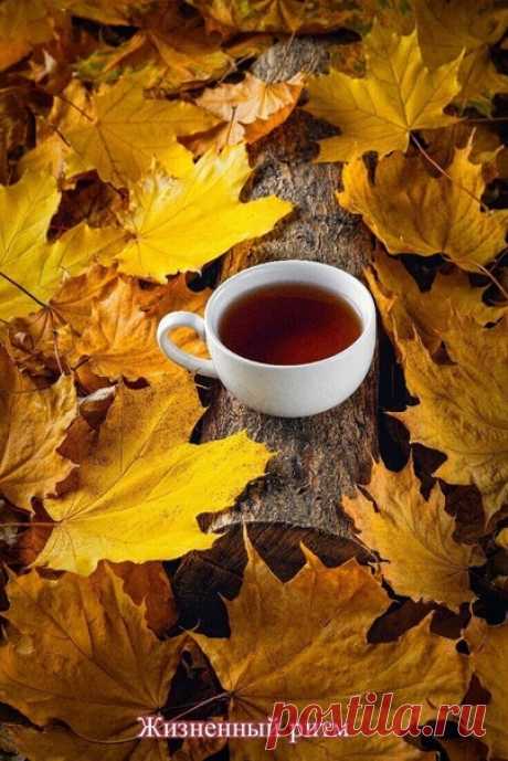 Доброго Ноябрьского Утра!Вкусного Кофе!
Теплого, Уютного и Позитивного Дня Нам ! ! !
©
