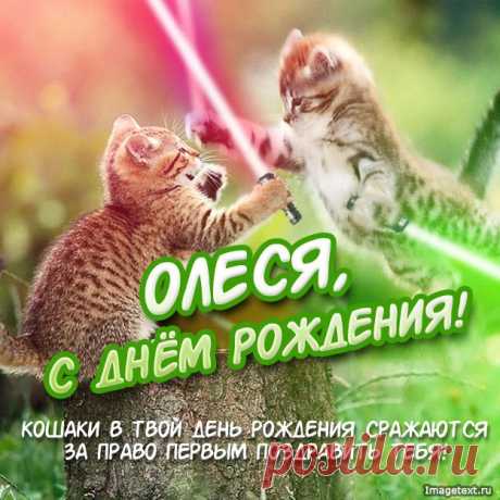 С Днём Рождения Олеся !