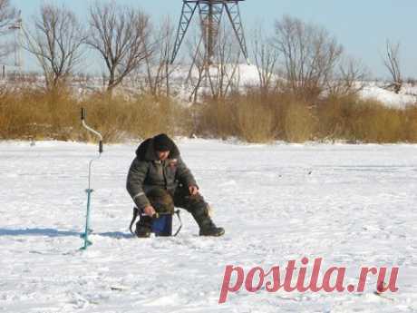 Окунь в глухозимье - Рыбалка - Охотники.ру