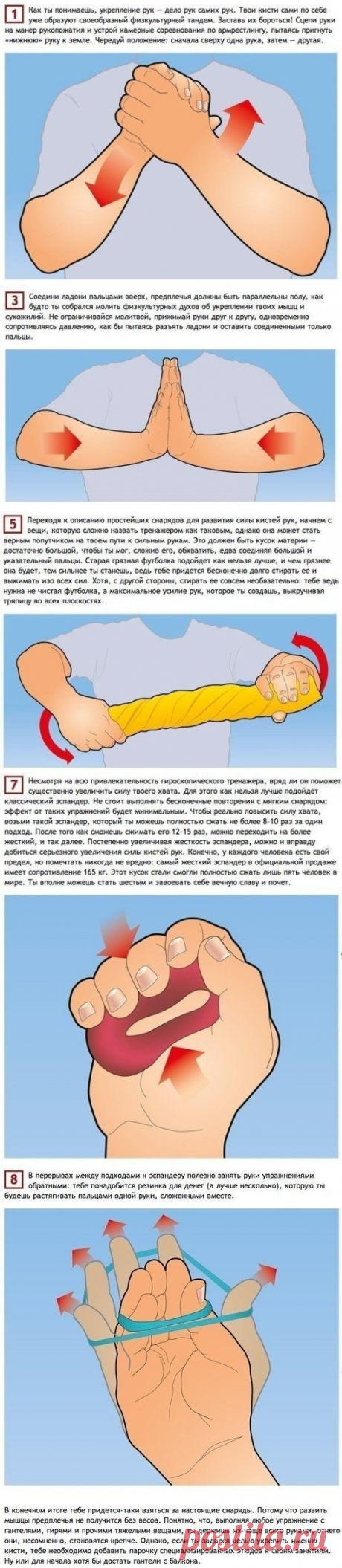 Простые упражнения, тренирующие все 27 мышц рук. - полезные советы