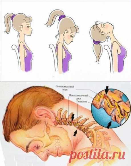 Лучшие упражнения китайской медицины для шейных позвонков. | Мамам, женщинам, бабушкам и очень любознательным.