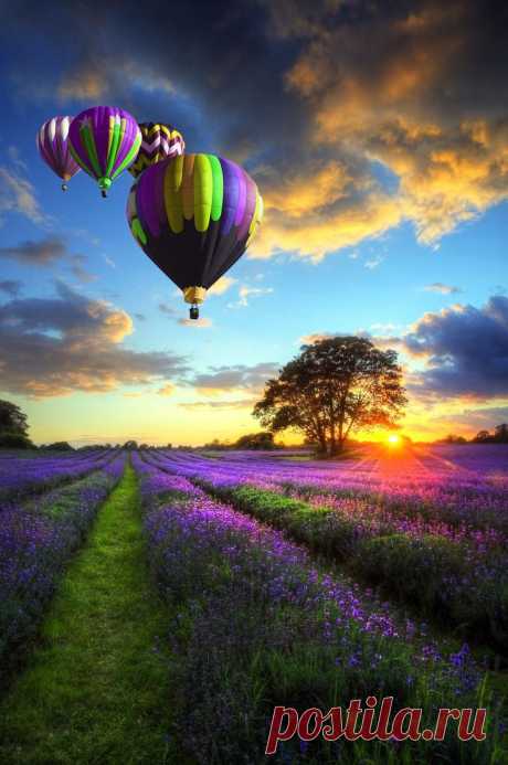 France - Balloon trip in Provence | The Mystique of France