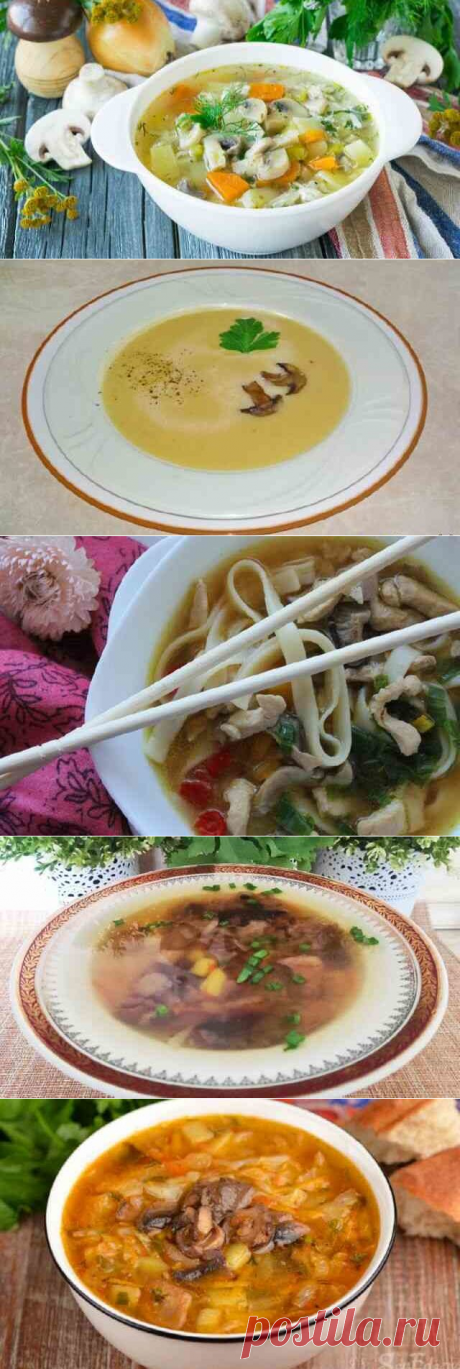 Диетический грибной суп - 10 рецептов с фото и описанием