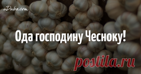 Съедайте чеснок и мед натощак в течение 7 дней, и вот что произойдет с вашим организмом!