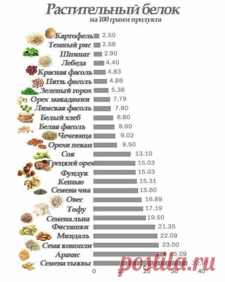 С этой таблицей легко будет составить свой рацион по белкам!
У меня многие спрашивают , когда узнают, что я на вегетарианском питании, где я беру белок? Как будто кроме мяса других продуктов не существует🤦‍
Эта статья будет полезна как для начинающих веганов, так и с опытом.
На самом деле источника растительного белка великое множество и все доступно в магазинах🥜🥗🥦🥕
Многим начинающим вегетарианцам при переходе на вегетарианское питание приходиться слышать о таком мифе...