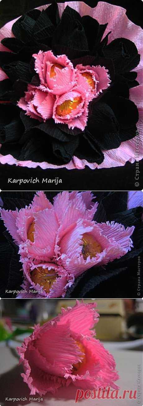 МК бархатных тюльпанов и Двухцветный стиль | Конфетный рай