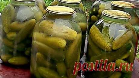 Настоящие бочковые соленые огурцы без хлопот🥒🥒🥒