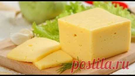 Как сделать домашний твёрдый сыр
