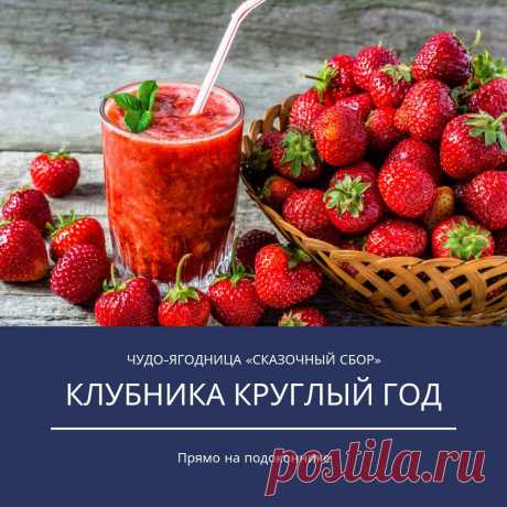 Чудо-ягодница «Сказочный сбор» КЛУБНИКА В ДОМАШНИХ УСЛОВИЯХ КРУГЛЫЙ ГОД!