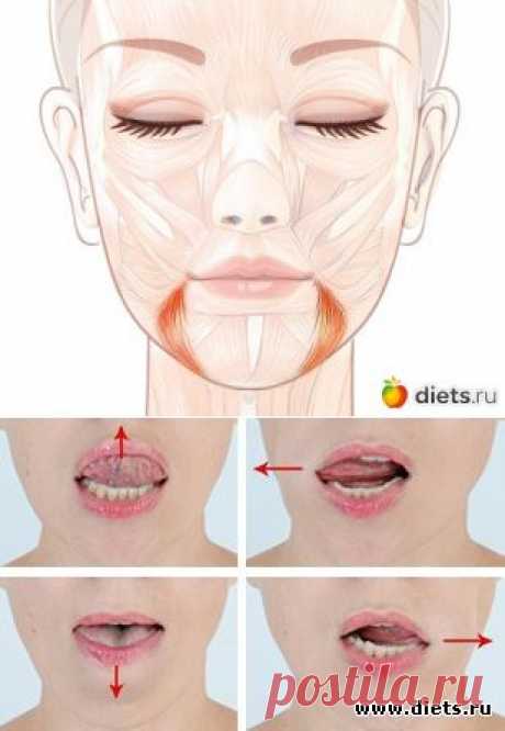 Поднимаем уголки губ: упражнение «Улыбка»: Фейскультура: методы естественного омоложения: Группы - diets.ru