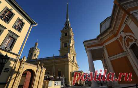 В Петербурге умерла кошка Капитолина, прожившая в Петропавловской крепости более 20 лет. Кошка умерла на 22 году жизни от сердечной и легочной недостаточности