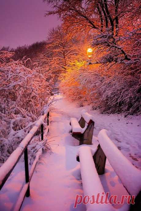 Winter magnificence! | Winter Wonderland