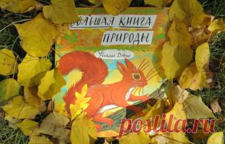 Большая книга природы: душевные коллажные картинки, стихи и игры о временах года