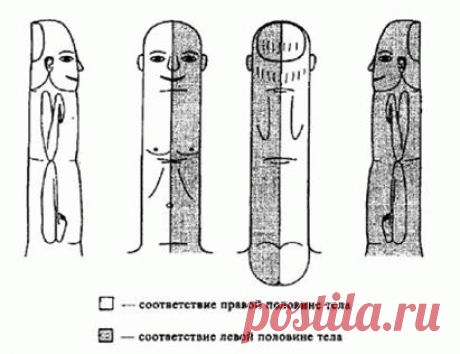 Су джок. Пальцетерапия