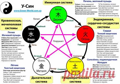 У СИН - Пять направлений движения Ци