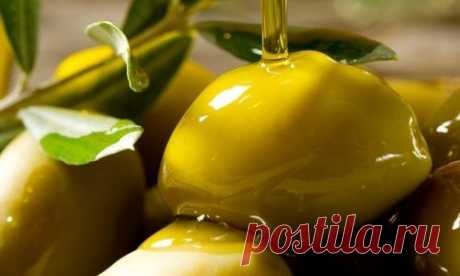 Польза и вред оливок для организма
