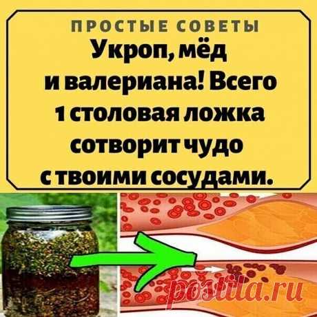 Укроп, мёд и валериана! Всего 1 столовая ложка сотворит чудо с твоими сосудами.
К сожалению, наши кровеносные сосуды имеют свойство загрязняться. Они накапливают на своих стенках отложения неорганических солей, что в дальнейшем является причиной развития атеросклероза, нарушения кровообращения, повышенного давления и варикоза.
Поэтому рекомендуется регулярно проводить курс очищения кровеносной системы. Сегодня наша редакция поделится с тобой проверенным методом очищения сосудов…