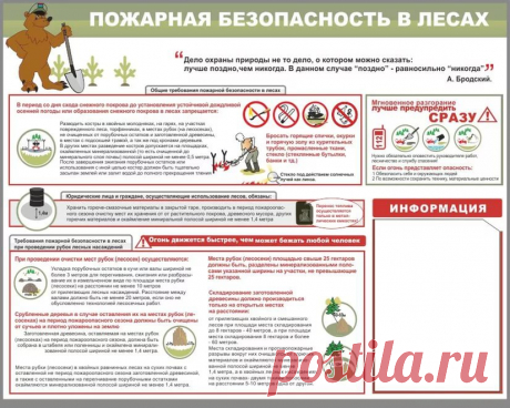 Дачники теперь обязаны обеспечивать пожарную безопасность на лесных участках