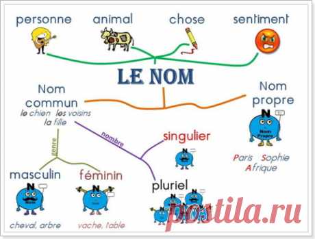 Существительное во французском языке: виды и образование