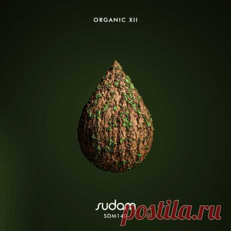 VA - Organic XII free download mp3 music 320kbps