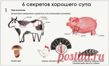 6 простых советов для приготовления аппетитного супа. Члены семьи точно попросят о добавке!