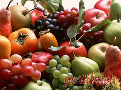 Фрукты и овощи способствуют улучшению пищеварения