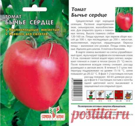Томат «Бычье сердце»: описание сорта, фото и основные характеристики помидоры