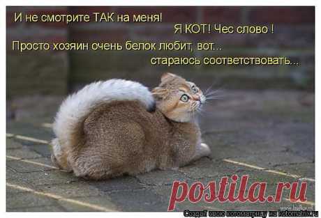 tatya-nikolska — «Найдено в интернете.» на Яндекс.Фотках